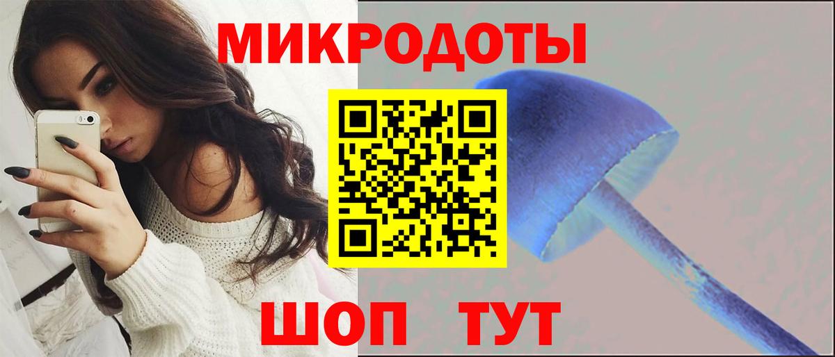Псилоцибиновые грибы Psilocybine cubensis Лосино-Петровский